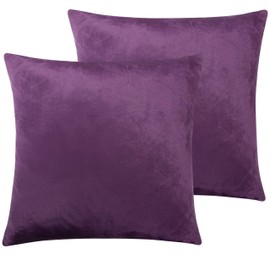 NTBAY Velvet 2 Pack Square Zippered Throw Pillow Covers, Super Soft and Luxury Euro Cushion Covers for Sofa, Couch, 20x20 Inches, Purple