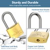 DELSWIN Weatherproof Padlock with Key (Keyed Alike) - Heavy Duty