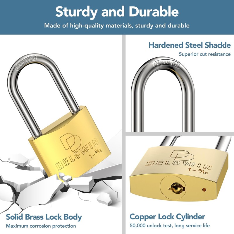 DELSWIN Weatherproof Padlock with Key (Keyed Alike) - Heavy Duty