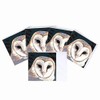 Barn Owl Blank Greeting Card by Leslie Gerry - Pack
