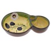 CERÁMICA ESPAÑA Bowls | Bowl | Snack Bowls | Bowl