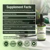 Liquid Chlorophyll Drops – 4-Month Supply | Natural Detox, Gut
