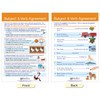NewPath Learning Usage: Sentences & Grammar Rules Bulletin Board Charts,