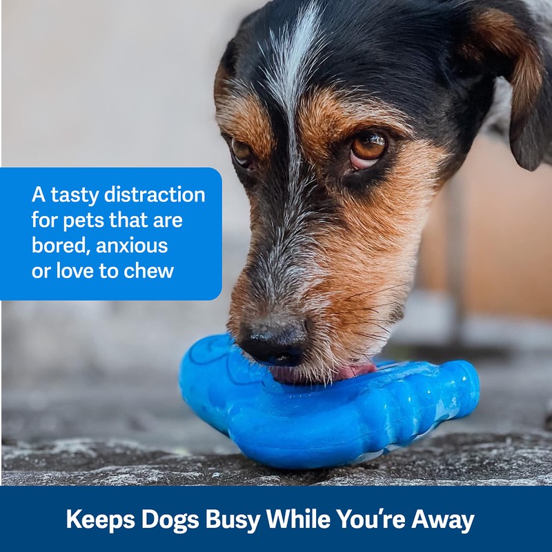 PetSafe Freezable Treat Food Dispensing Chew Toy, Small, Chilly Penguin,Blue