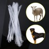 Keenso - Inseminación artificial para perros caninos de oveja, tubo