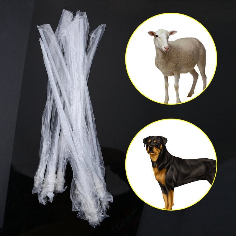 Keenso - Inseminación artificial para perros caninos de oveja, tubo