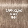 Patina BlondMe Eclat Cappucino Ice 8-14 Resin Head Professional 60