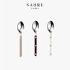 Autumn Color Sabre Bistro Cutlery Shiny Teaspoon / 어텀 컬러 사브르 비스트로 커트러리 샤이니 티스푼