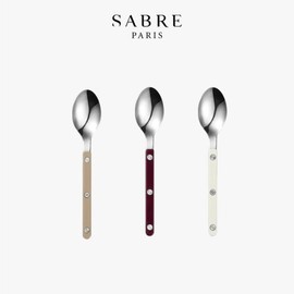 Autumn Color Sabre Bistro Cutlery Shiny Teaspoon / 어텀 컬러 사브르 비스트로 커트러리 샤이니 티스푼