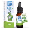 PanaKids Eisen+ Drops for Children - with Iron, Vitamin C