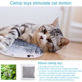 Cat Toys Fish for Indoor Cats - USB Floppy Fish Cat Dog Toy, Interactive Cat Toy with Catnip Bag, Realistic Moving Flippity Fish Toy for Cat and Kitten, Salmon