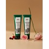 [1+1] Original Body Scrub 200g / [1+1] 오리지널 바디스크럽 200g