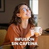 VIVRI Té Yerbamor | Suplemento Herbal 100% Natural con 14