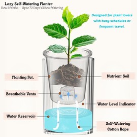 MIXNEX Self-Watering Plant Pot with Separate Base – Creative Hydroponic Desktop Flower Planter for Succulents & Small Green Plants – Cute Modern Design – 5 Colors (Yellow)