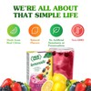 True Lemon WILDBERRY LEMONADE, True Citrus, 10 Count (Pack of