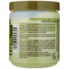Hollywood Beauty Olive Cholesterol 20 oz