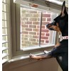 Clear Pet Window Sill Protector - Guards Against Dog Claws