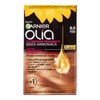Garnier Olia Hair Dye, Permanent Colouring without Ammonia, Covers 100%