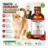 Suplemento Natural Preventivo De Infecciones Urinarias Gato