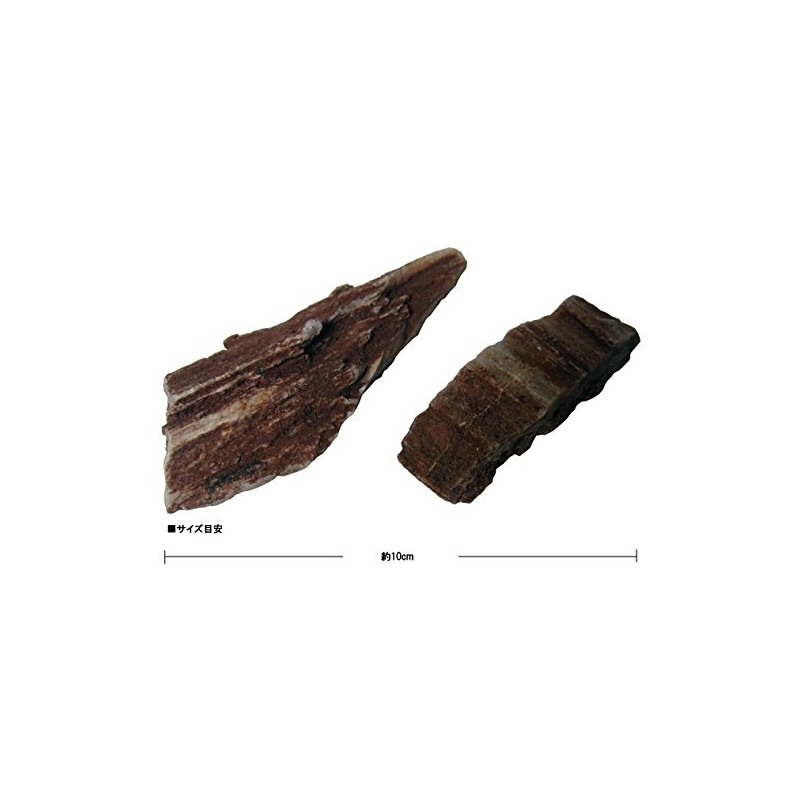 Kamihata Petite Aqua Stone Red Wood Fossil