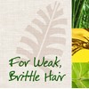 Maui Moisture Thicken & Restore/Bamboo Fibre Shampoo 385 ml (Pack