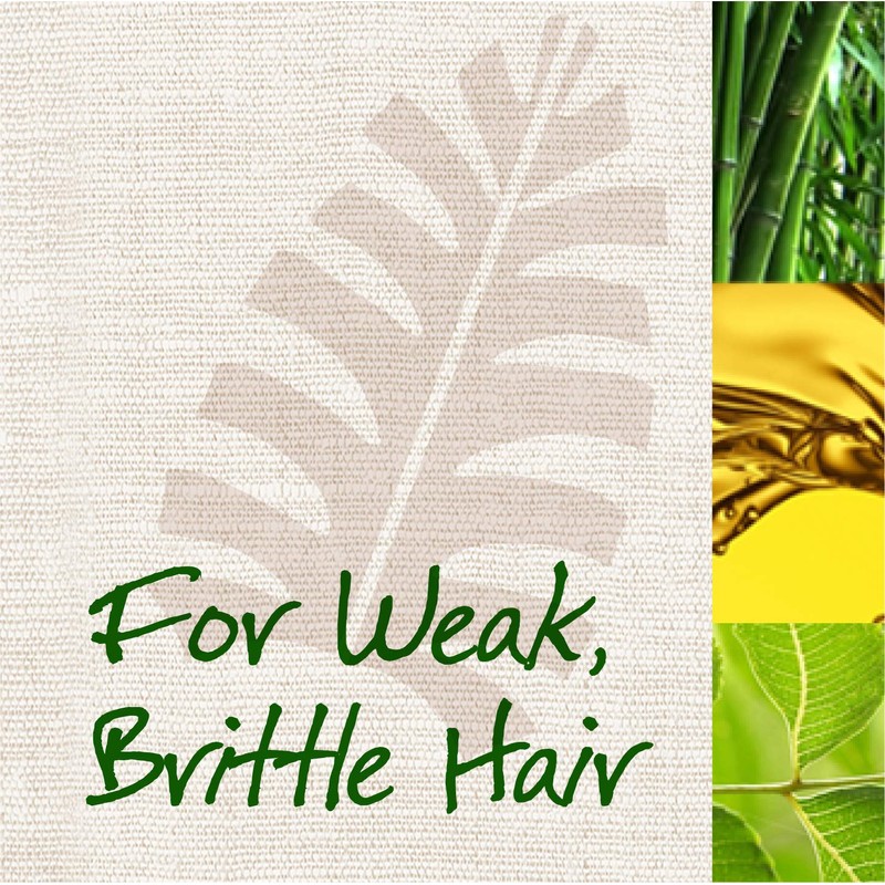 Maui Moisture Thicken & Restore/Bamboo Fibre Shampoo 385 ml (Pack