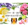 NAGOMI PURE Lemongrass 0.3 fl oz (10 ml)