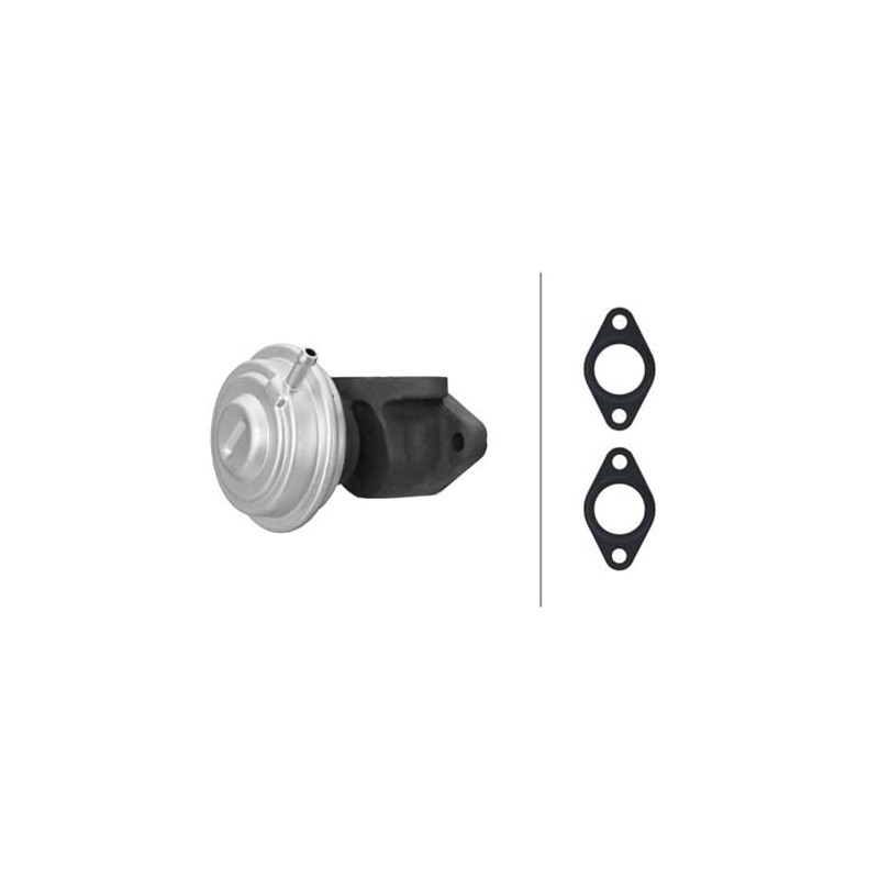 HELLA 6NU 014 865-441 EGR Valve Pneumatic with Seals