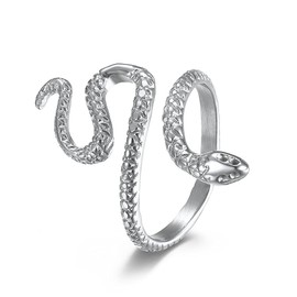 WOYNJI Stainless Steel Punk Snake Ring for Women Vintage Animal Wrap Stacking Statement Rings Silver Size 10