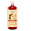 Florigan Shampoo Chile Concentrado Nutritivo Estimulante Florigan 1l