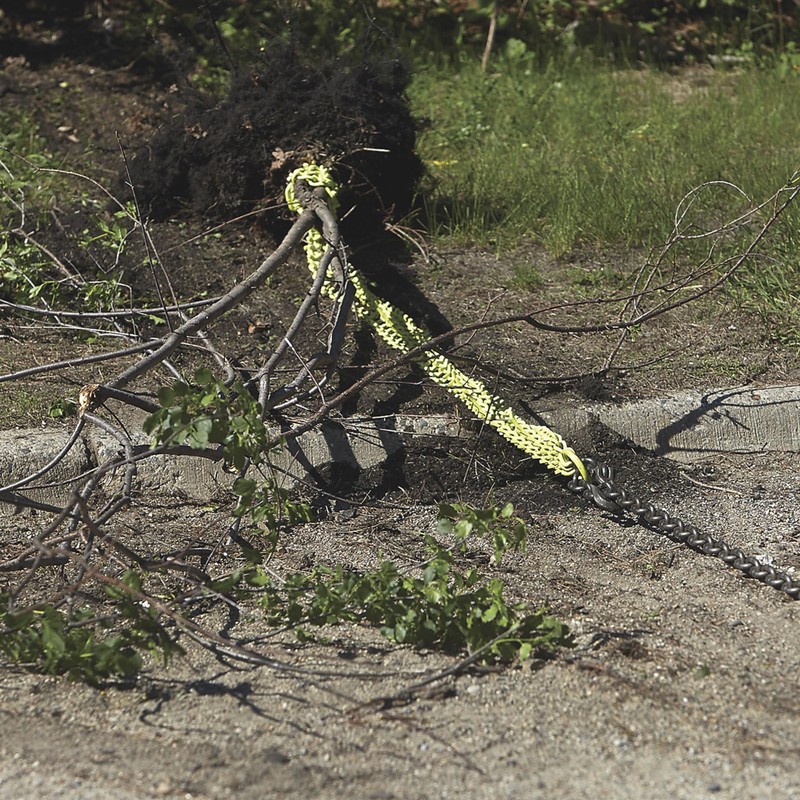 Brush Grubber Heavy-Duty Triple Chain Shrub and Clump Remover Tool,