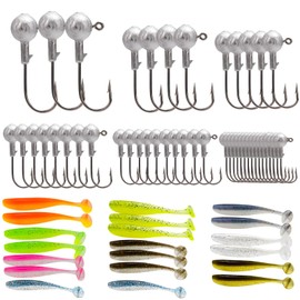 65 Pcs Set Jig Heads for Fishing Lures, Soft Plastic Lures Kit with Various Weights, Ideal for Freshwater and Saltwater Fishing, Perch lures, Bass, Trout, Pike fishing