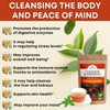 Herbal Detox Tea: Cleanse Tea for Digestive Health, Natural Energy