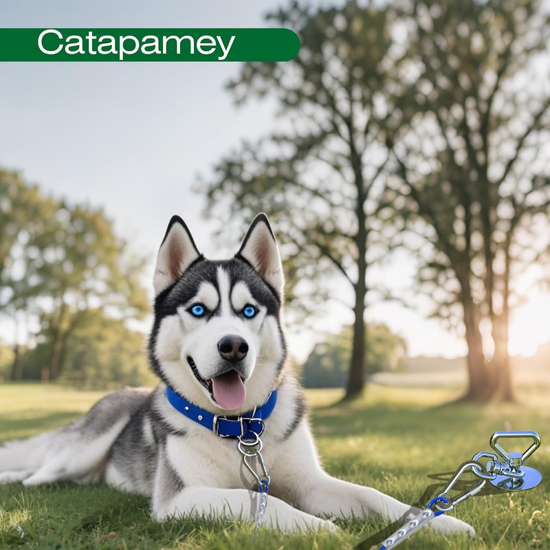 catapamey Dog Tie Out Cable and Stake,with 20FT Heavy Duty