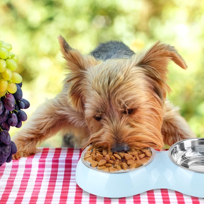 Fressnäpfe für Hunde, 2 Stück Edelstahl Futternapf 400 ml, rutschfest