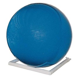 PVC Storage Racks, Exercise Ball, Wall-mount, White, Made in USA, 2-Pack