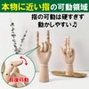 Fermoor Hand Mannequin Drawing Doll, Wooden Hand Model, Joints, Both