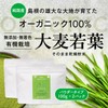 しまね有機ファーム 有機大麦若葉パウダー100g✕2パック 粉末100% 青汁 オーガニック無添加 有機JAS規格 島根県産