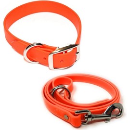 Regal Dog Products Small Orange Waterproof Dog Collar and Leash Set | Heavy Duty Double Buckle & D Ring - 5'ft Leash | Adjustable Biothane Dog Collar | Chew Resistant Waterproof Collar for Dogs