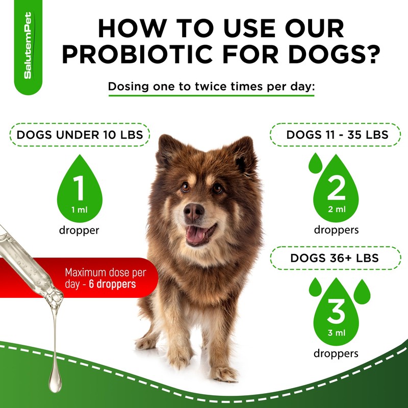 Probiotics for Dogs | Liquid Probiotics for Dogs and Puppies