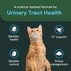 VetriScience Veterinary Strength UT Health Chews - Cat Urinary Tract
