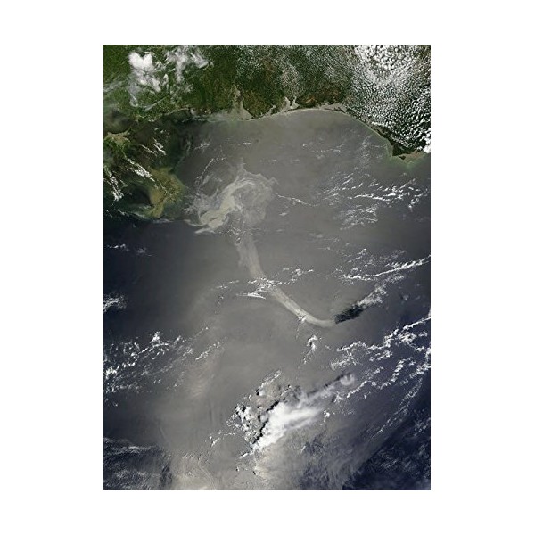 A large patch of oil in the Gulf of Mexico