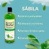 Shampoo Secreto Herbal Sábila Orgánica Crecimiento 1l