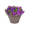 Elho Corsica Wall Basket 25 - Planter - Taupe -