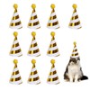 Pack of 10 Birthday Party Decoration Hats Birthday Party Baby