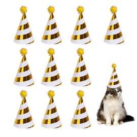 Pack of 10 Birthday Party Decoration Hats Birthday Party Baby Shower Photo Props Beautiful Cone Birthday Paper Hats for Party Hats Birthday Festival Party Birthday Party Celebration Decoration Golden