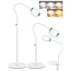 10X Rectangle Magnifying Glass with Light and Stand, 24" Flexible