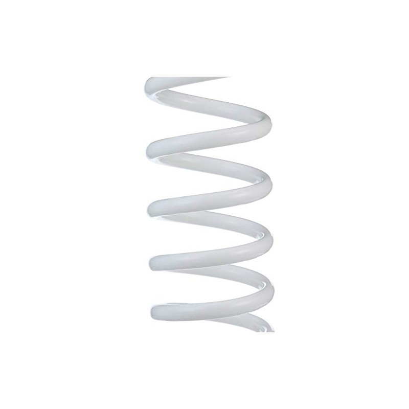 Seachoice Coiled Washdown Hose w/ Sprayer and Brass Fittings, 25