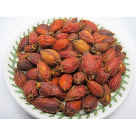 Gardenia Fruit - Dried Gardenia Fruit from 100% Nature (2 oz)