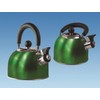 Green 1.6 Litre Gas Hob Kettle with Folding Handle Caravan